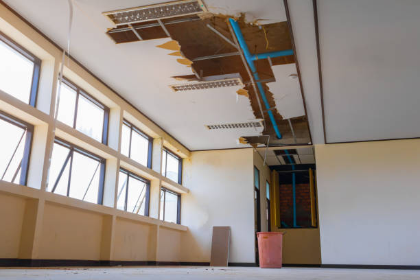 Best Water damage restoration company  in Afton, MN
