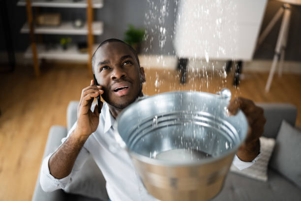 Best Ceiling water damage repair  in Afton, MN