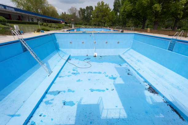 Best Flood restoration services  in Afton, MN