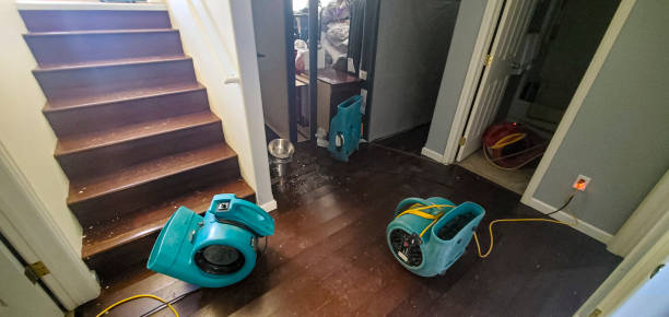 Best Carpet water damage restoration  in Afton, MN