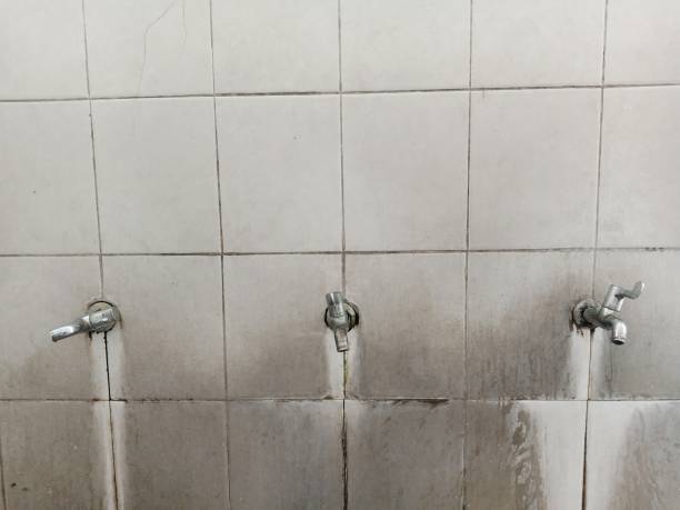 Best Professional water damage repair  in Afton, MN