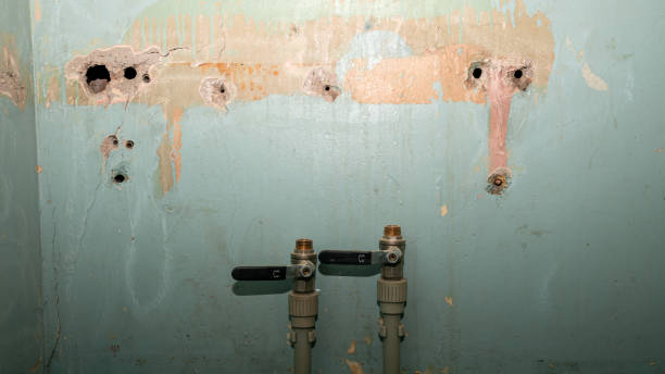 Best Flooded house restoration  in Afton, MN