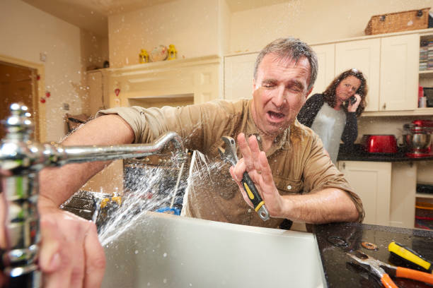 Best Water damage contractors near me  in Afton, MN